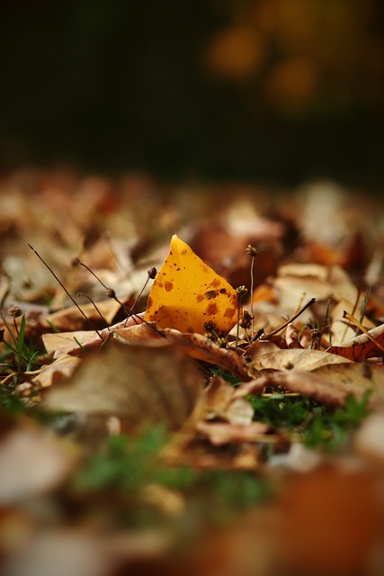 的长期发展 的长期发展