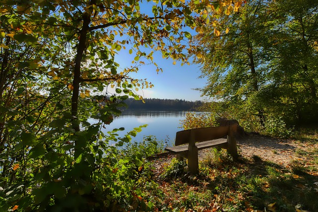 为赛事组织 为赛事组织