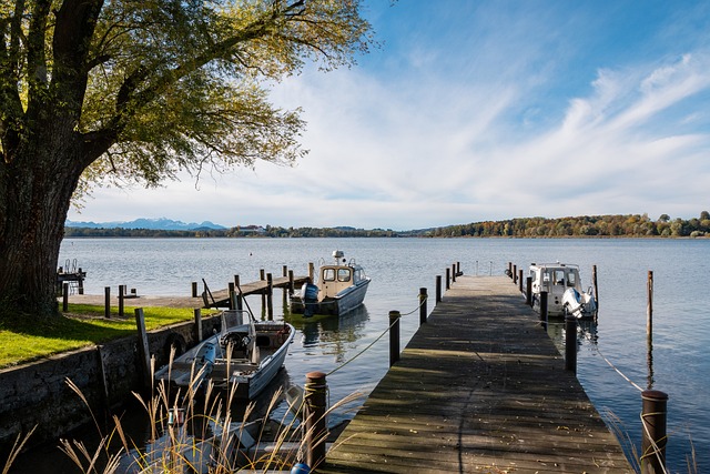 他早已是中 他早已是中