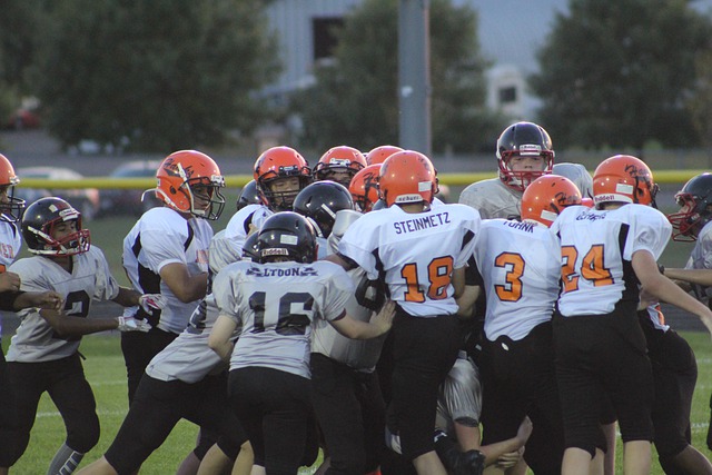 子监管系统 子监管系统