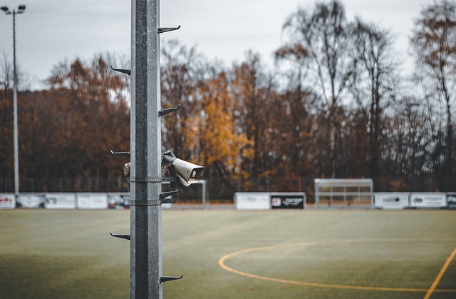 定的结果 定的结果