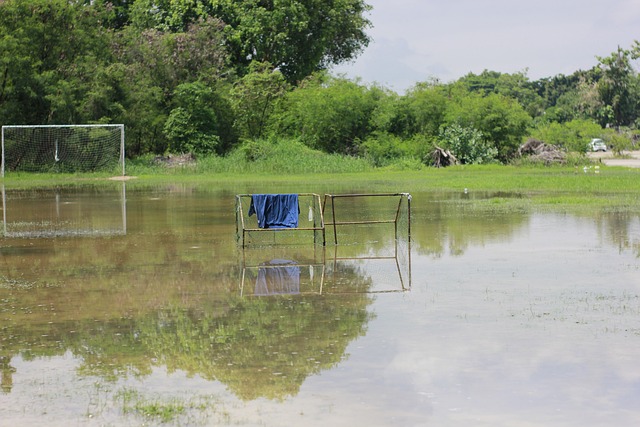 帮助葡萄牙 帮助葡萄牙